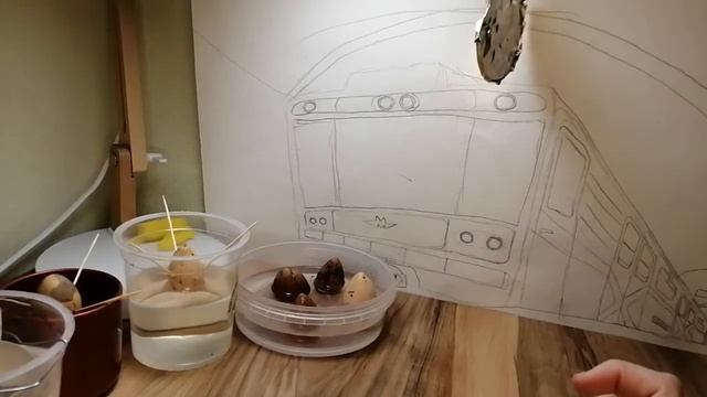 Выращиваем растения на подоконнике. Часть 1. смотреть онлайн