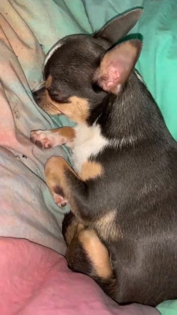 Всем доброй ночи.