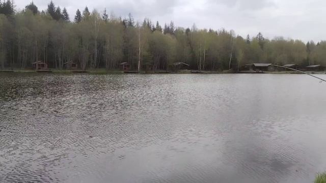 Поимка карпа смотреть онлайн