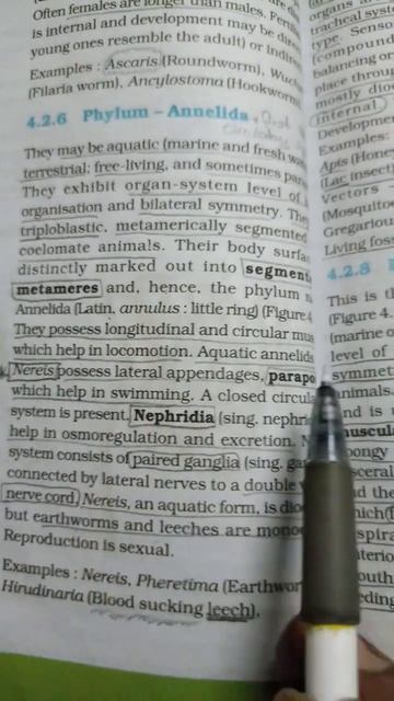 locomotory organs of NEREIS is? #ncert #neet #biology #neet2024 #ncertbiology #motivation #shorts смотреть онлайн
