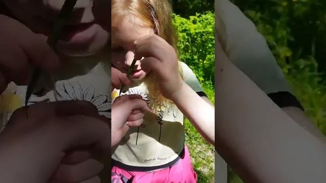 Куда идём мы с Пятачком. смотреть онлайн