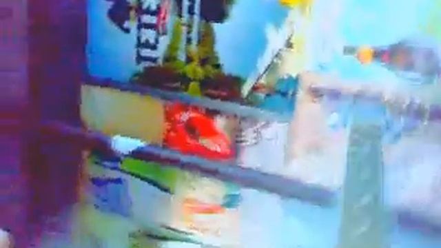 кот Челентано,ездит на такси и звонит кошкам в Америку смотреть онлайн