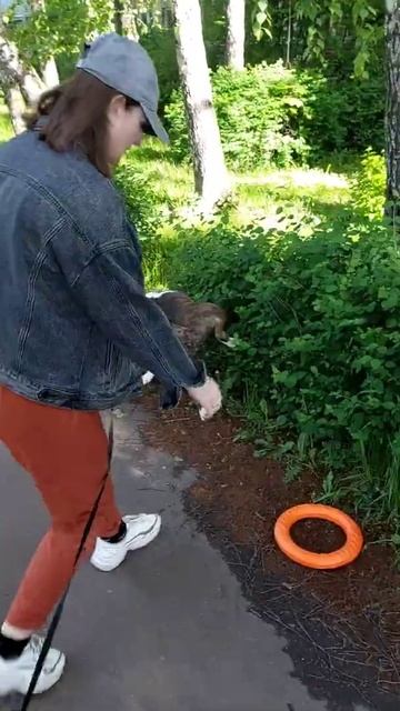 В пакете сюрприз для Винда😁 смотреть онлайн