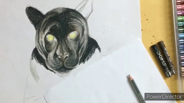 Viral Photo of Rare Black Panther | Shaaz Jung | Found in Karnataka's Kabini India | Bagheera 🔥🔥🔥 смотреть онлайн