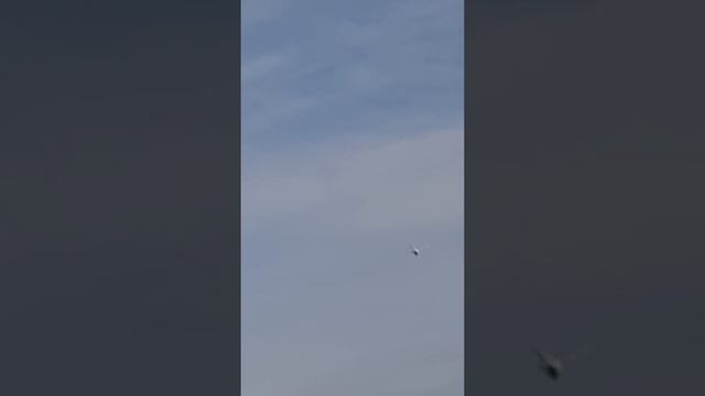 Наблюдаю с окна за атакой сокола. смотреть онлайн