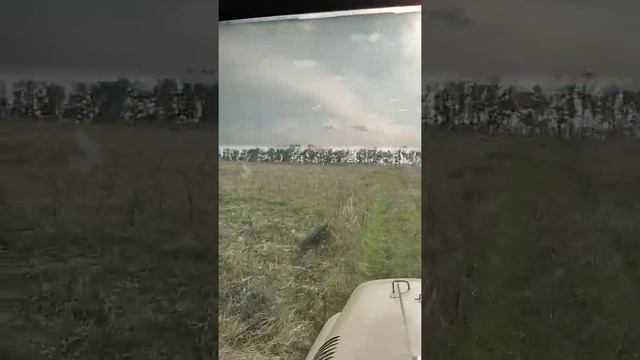 Лето - самое время для УАЗа с открытым верхом смотреть онлайн