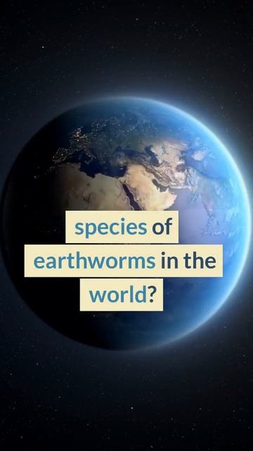Why YOU Should Own Worms #shorts #vermicomposting #wormcomposting смотреть онлайн