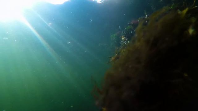Under the surface - Mandal Norway смотреть онлайн