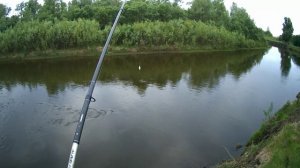 Бомбарда май