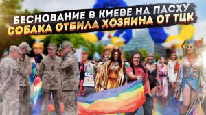 Адское беснование устроили в Киеве перед Пасхой! Молодёжь стала бить ТЦК, а собаки – грызть!