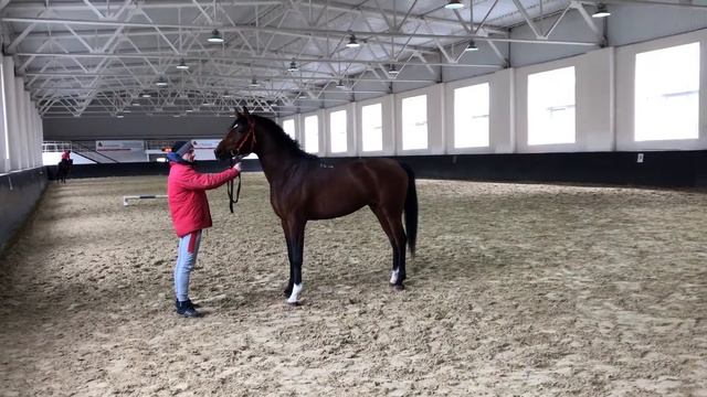 Faraon Tersk смотреть онлайн