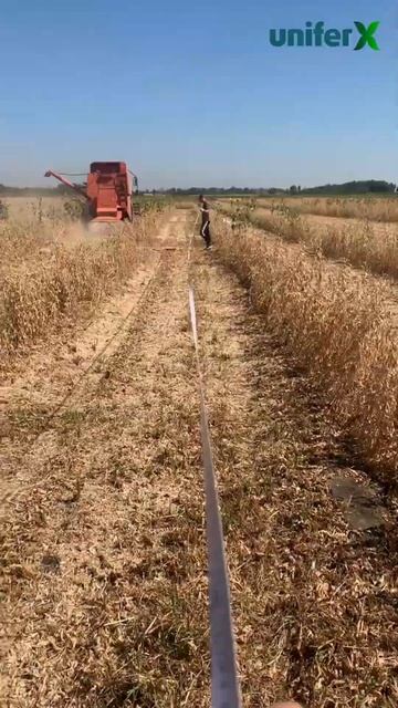 Уборка сои на Тест-центре 