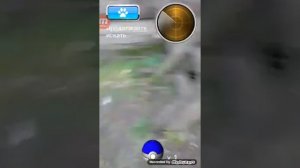 Ловим котов #4