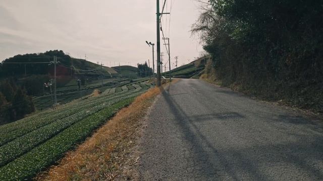 【京都ドライブ】お茶の京都を町歩き。和束町の茶カフェと道の駅みなみやましろ村へ。［オデッセイでドライブ旅］ смотреть онлайн