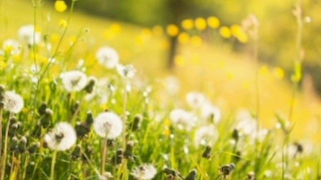 Дневник приёмной мамы/Обзор. смотреть онлайн