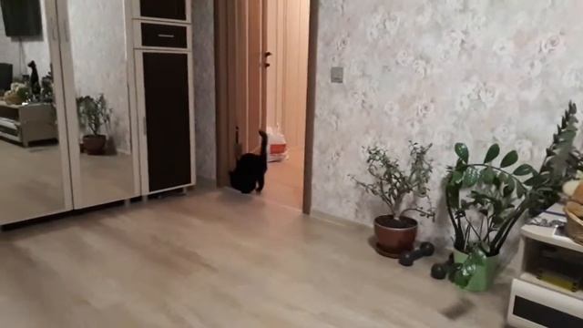 Лапин Денис и Кузя