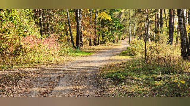 20 сентября 2023 г.