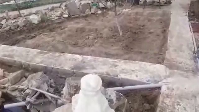 Дачный пруд смотреть онлайн