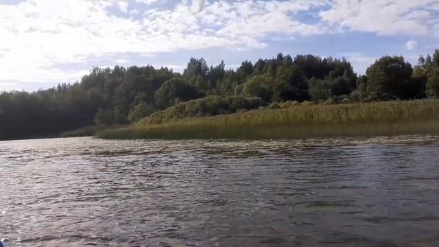 Открытие Осенней Охоты,как смог так и показал😊