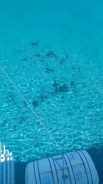 Это я в Греции там круто.Этот остров называется Балос смотреть онлайн