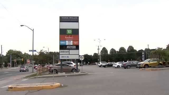 Carjacking at gunpoint outside North York grocery store смотреть онлайн