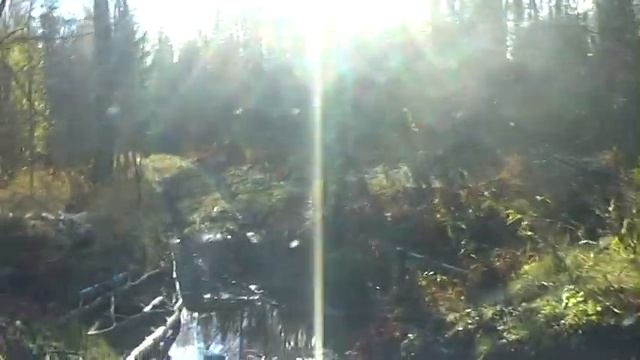 Полигон Токсово 4x4 NP300