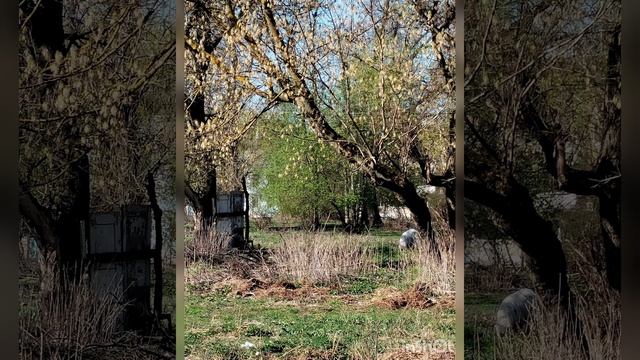 Пасхальное утро))) смотреть онлайн