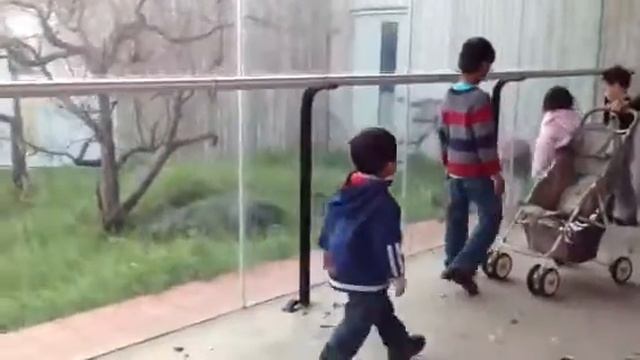 Гордая обезьянка и дети