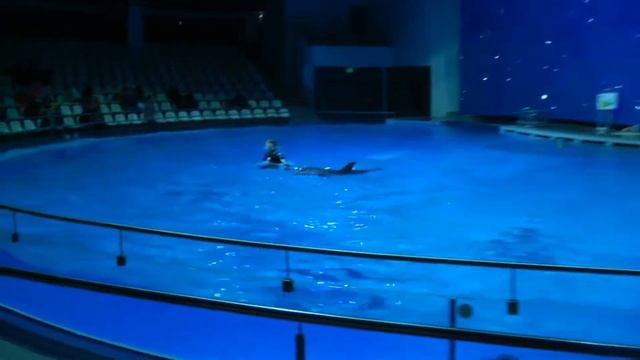 Настя и папа на представлении дельфинов в дельфинарии