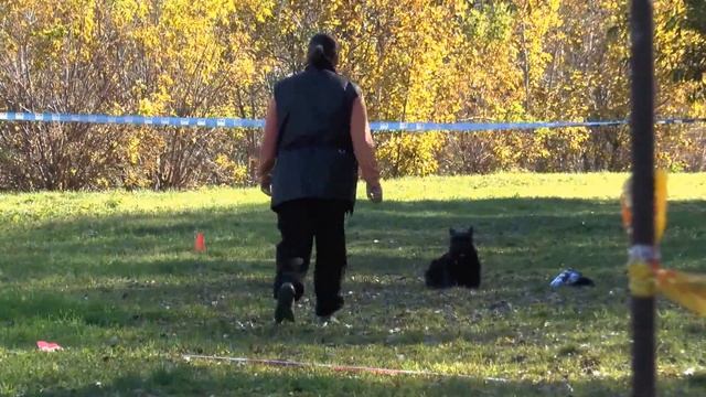 Чемпионат НКП 2013 БУГАТТИ ЧЁРНАЯ МОЛНИЯ место смотреть онлайн