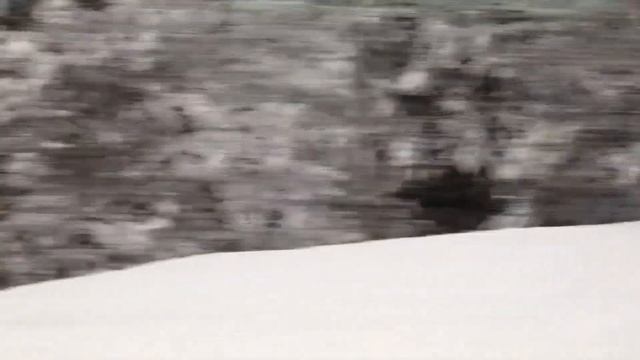 Campionati Italiani a Squadre di Winter Triathlon смотреть онлайн