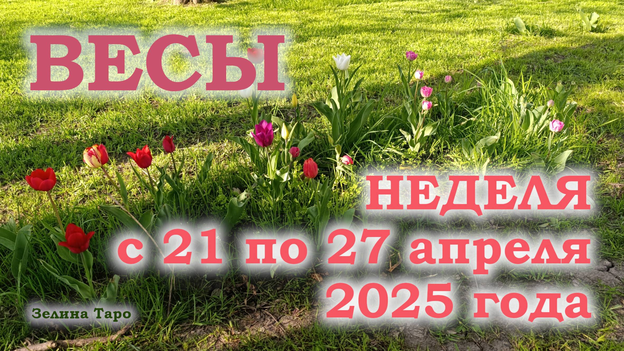 ВЕСЫ | ТАРО прогноз на неделю с 21 по 27 апреля 2025 года