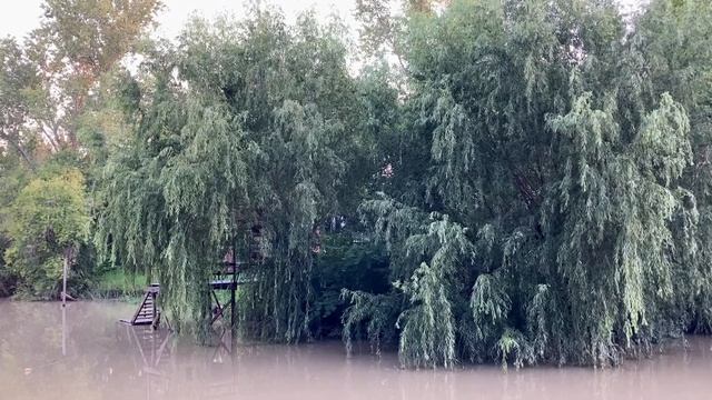 Delta de Tigre, Argentina смотреть онлайн