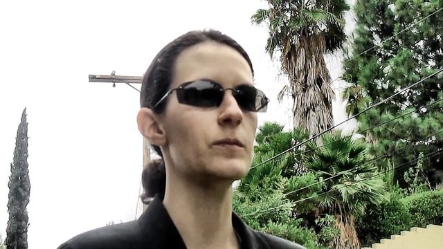 Tanjeria acting: Agent Smith: Purpose - Matrix Reloaded смотреть онлайн