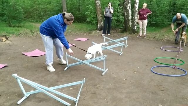 КМС - 282 (вк-117). смотреть онлайн