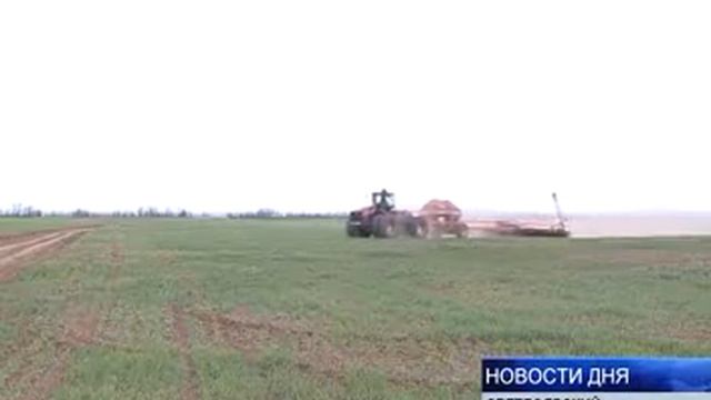 сев mpeg4 смотреть онлайн