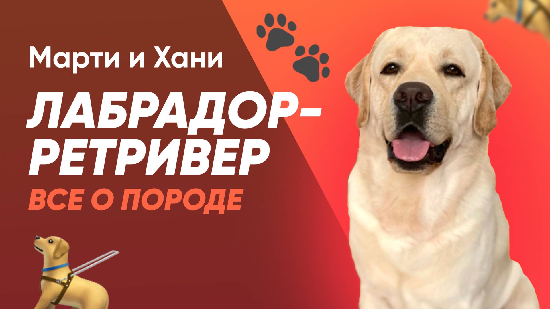 ЛАБРАДОР РЕТРИВЕР / ВСЕ О ПОРОДЕ / ИНТЕРЕСНЫЕ ФАКТЫ / ВОСПИТАНИЕ И УХОД / СТОИТ ЛИ ЗАВОДИТЬ? смотреть онлайн