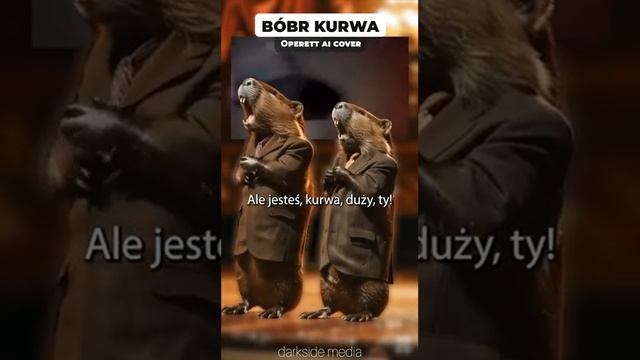 Bober Piosenka. Polish Sing Bober. смотреть онлайн