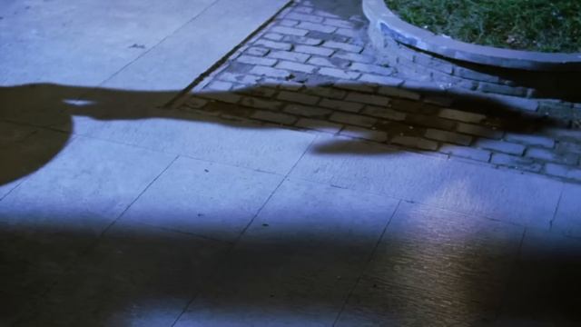 功夫小夥忍無可忍，出手教訓惡霸！【Kung Fu】