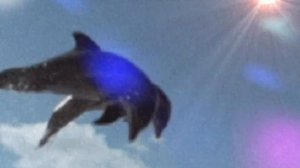 🤗Дельфины тонут голыми...