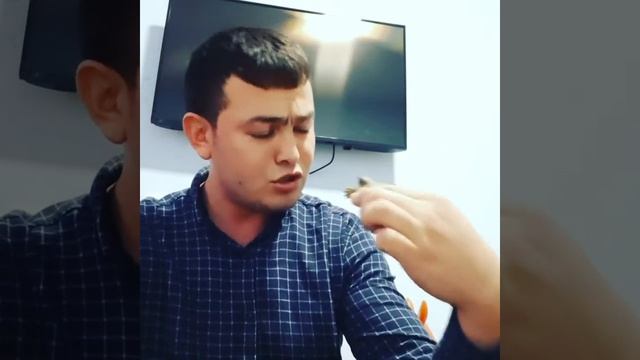 Горцы от ума новые прикол смотреть онлайн