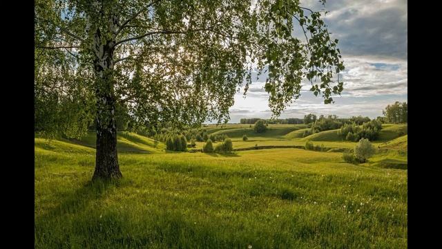 Песня о безответной любви. СЕРЁЖА. Группа ВИШНЁВЫЙ САД. Слова и музыка - Саша Сунгирь. смотреть онлайн