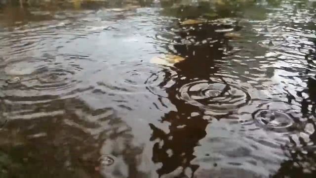 Осінній дощ / Autumn rain slow motion смотреть онлайн