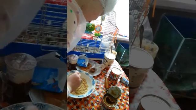 Печем кейк-попсы ч.2