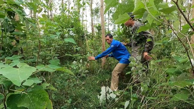 Suffocation. Rescue the man who was attacked by a giant python while napping in the forest. anacond смотреть онлайн