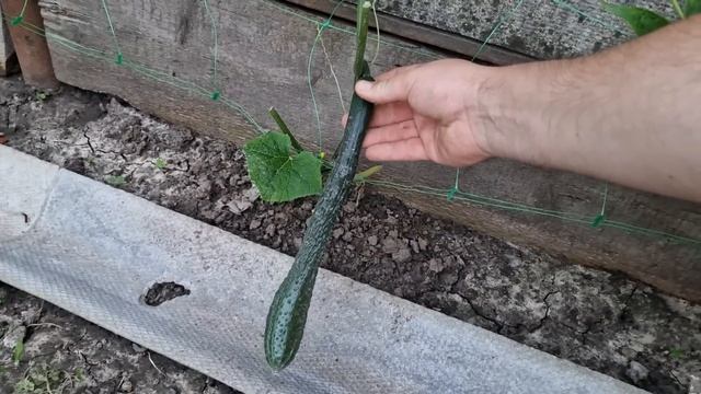 абсолютно всё заболело! смотреть онлайн