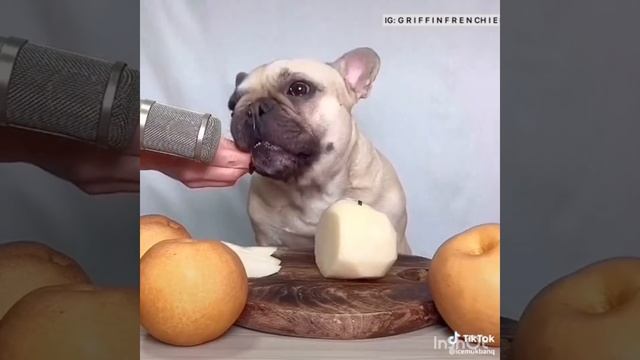 Лутшие СМР в Тик Ток / смр/ корейци / первое виде /слайми