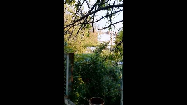 10.05.2020 По поселку сахзавода тайными тропами/улица Клубная