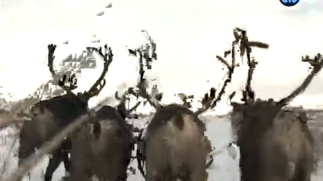 KOMI -- A JOURNEY ACROSS THE ARCTIC смотреть онлайн