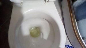 Писаю в унитаз (1 серия)